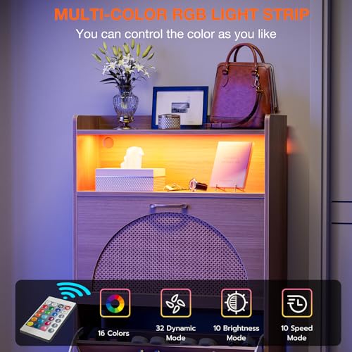 LED Rattan Shoe Storage Cabinet with 2 Flip Drawers, Narrow Wood for Entryway G427963