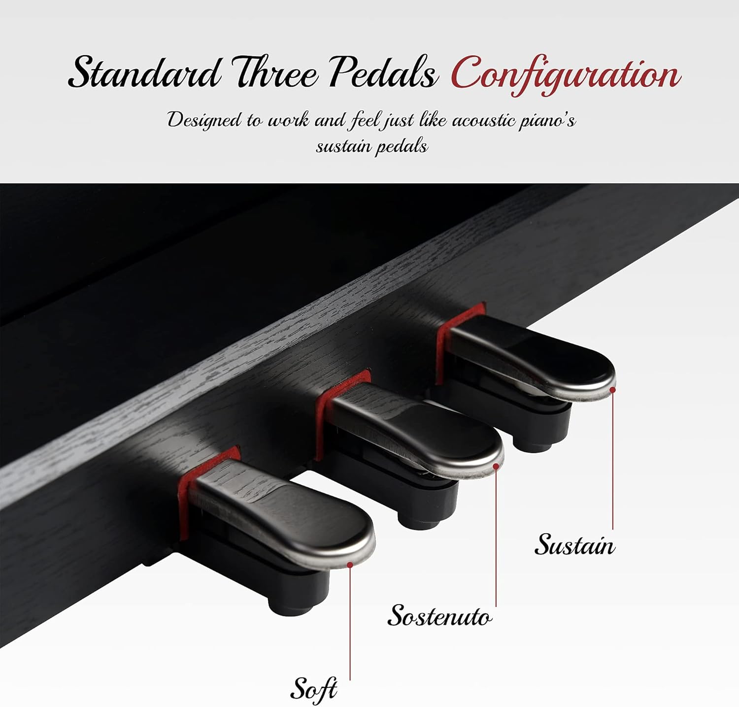 Lexington 88 Key Weighted Digital Piano with Hammer Action, Black Z626