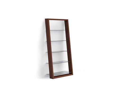 BDI Furniture Eileen 5166-74" x 34.25'' Leaning Shelf for Living Room, Family Room or Office with 5 Polished Tempered Glass Shelves, Charcoal Stained Ash
