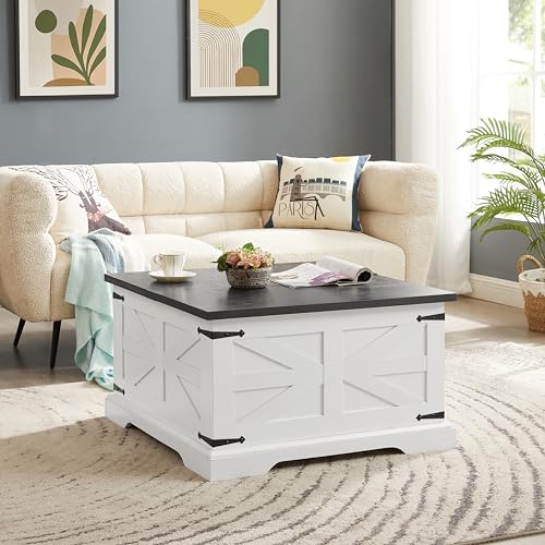 Goujxcy Farmhouse Lift Top Coffee Table with Hidden Storage V33587