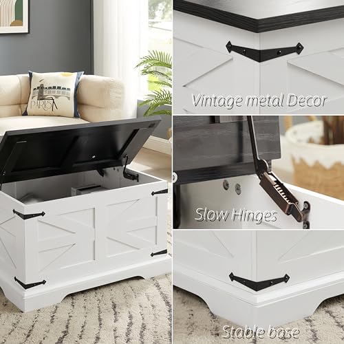 Goujxcy Farmhouse Lift Top Coffee Table with Hidden Storage V33587