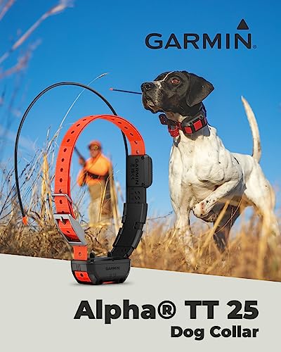 Wearable4U Garmin Alpha 300 Handheld Dog Tracking & Training with Touchscreen B793