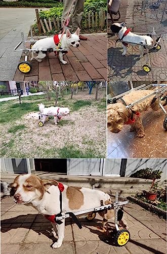Pet Wheelchair for Dogs with Back Brace, Small Dog Cat Walk Cart V7312