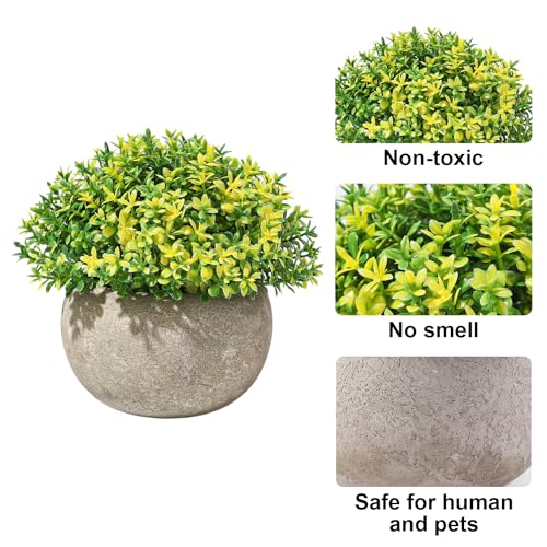 Mini Fake Grass Ball in Paper Pot Artificial Succulent Plant L97248