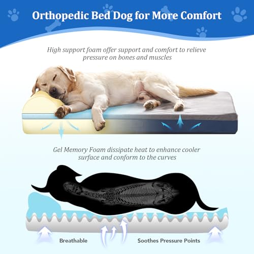Orthopedic Gel Memory Foam Dog Bed with Removable Cover, Large Size O660277