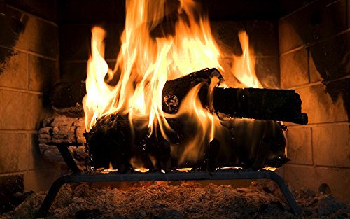 Gas Logs 4pcs Ceramic Ventless Fireplace Logs for Outdoor Fire Pits L739