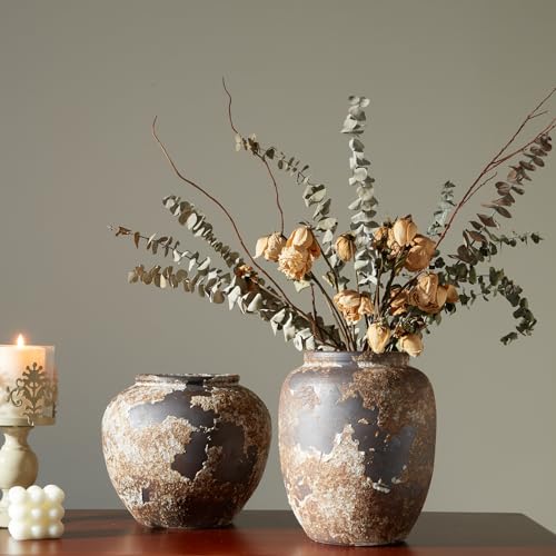 Rustic Terracotta Vase for Living Room Decor G779