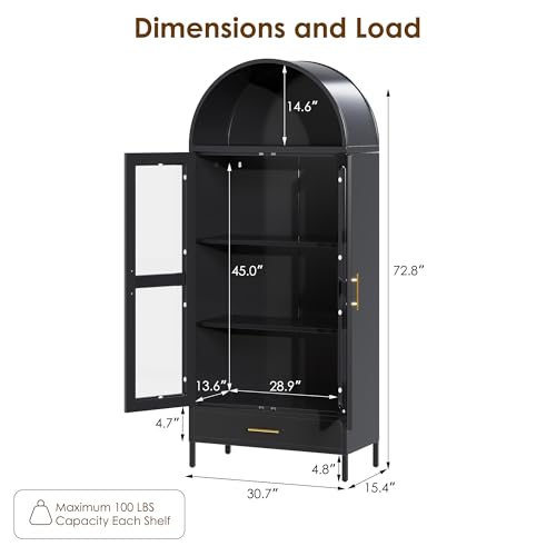 Metal Arched Storage Display Cabinet with Glass Doors, Black L3194