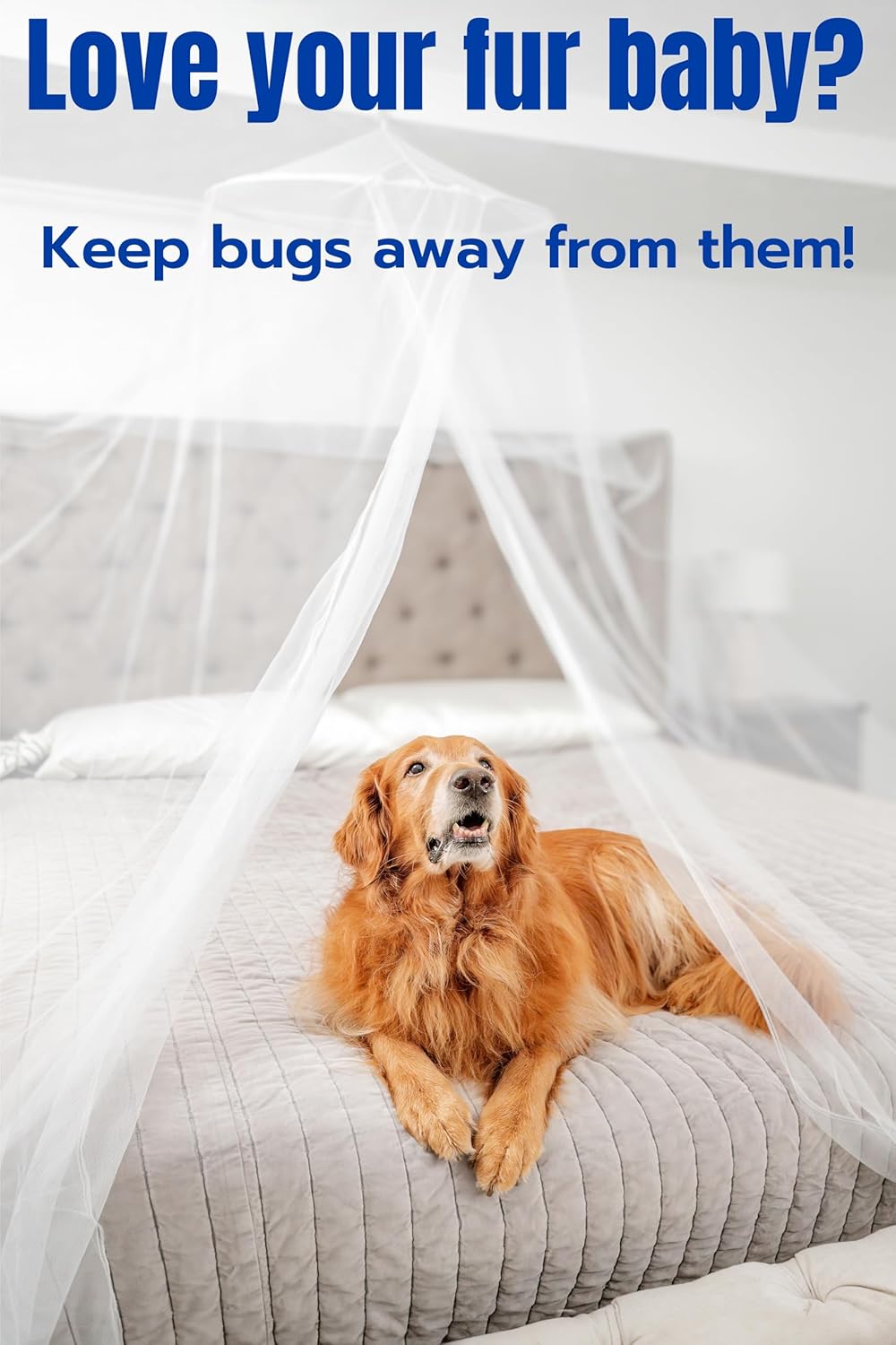 Mosquito Netting for Bed, Extra Large, Single to California King, Indoor Outdoor K684