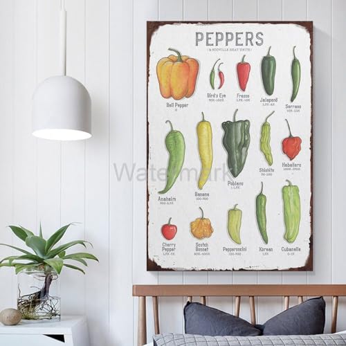 VADDCT Scoville Units Heat Pepper Chart Laminated Kitchen Poster Wall Art 16x24inch Unframe-style L9609