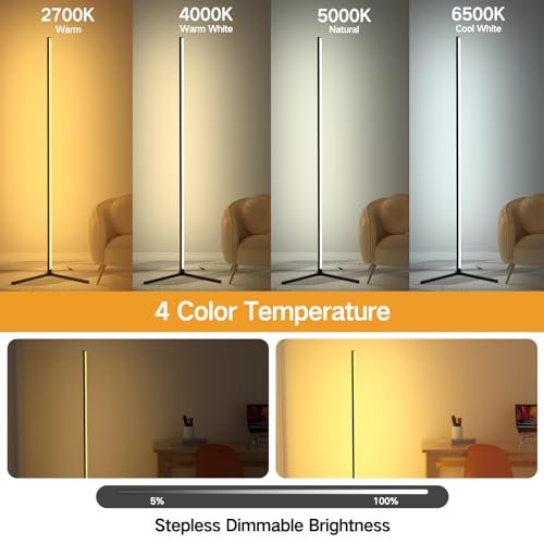 OUTON Smart LED Floor Lamp RGB, 2 Pack with App and Remote Control L6117