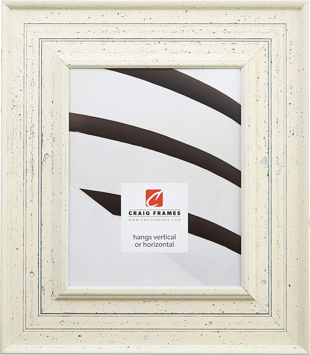 Craig Frames 81378600 16 by 20-Inch Picture Frame, Smooth Paint Finish, 3-Inch Wide, Weathered Off-White