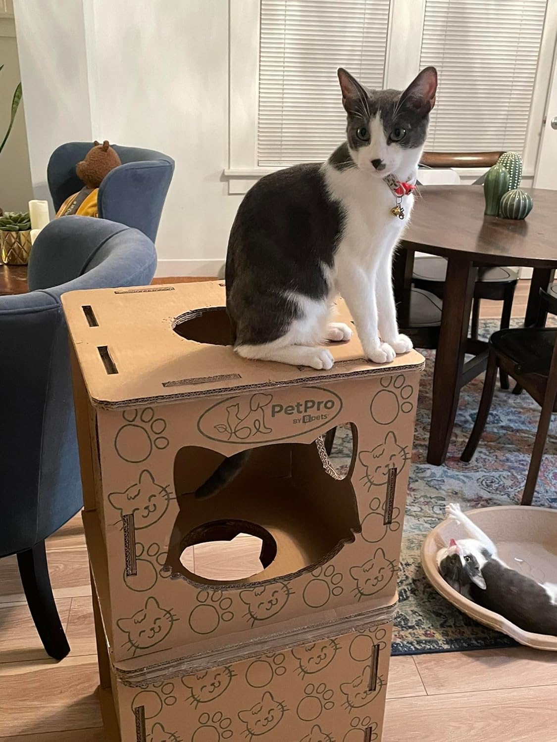 Cat House - Corrugated Cardboard Cat Scratcher for Indoor Cats J7557