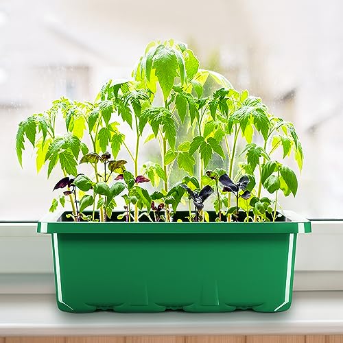 MIXC 10 Packs Seed Starter Tray with Humidity Dome, 120 Cells Plant Germination Kit I98172