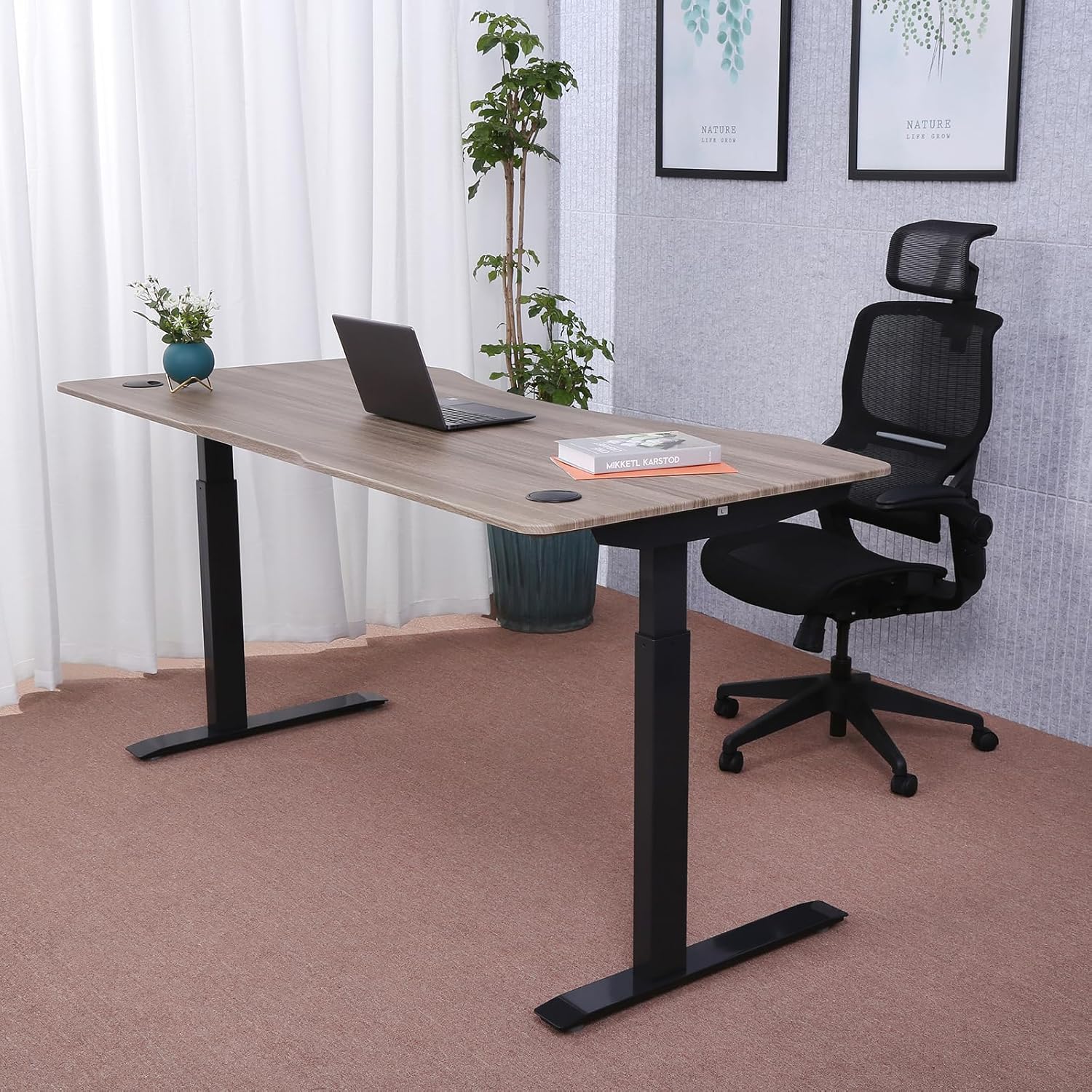 ApexDesk Elite Pro Series Electric Height Adjustable Desk, Curved Teak Top, Black Frame K383276