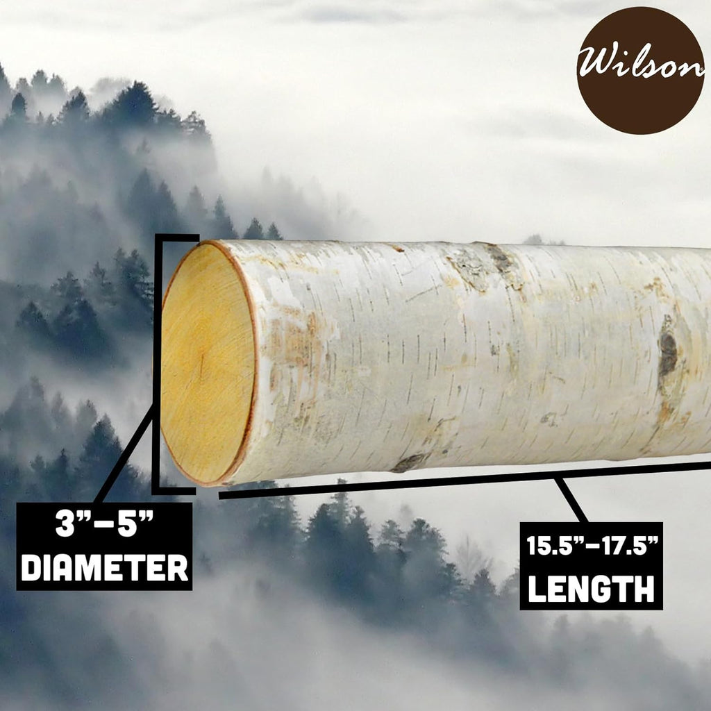 Wilson Birch Fireplace Large Log Set (5 Logs) Y46430