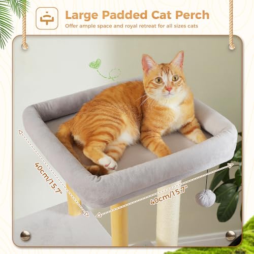 PAWZ Road Large Cat Tree, 53 Inches Modern Wooden Cat Tower for Indoor Cats R627