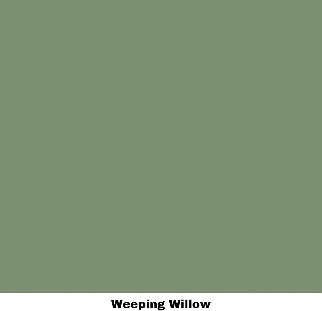 Dixie Belle Paint Company Chalk Finish Furniture Paint Weeping Willow 4oz Matte Soft Green J39498