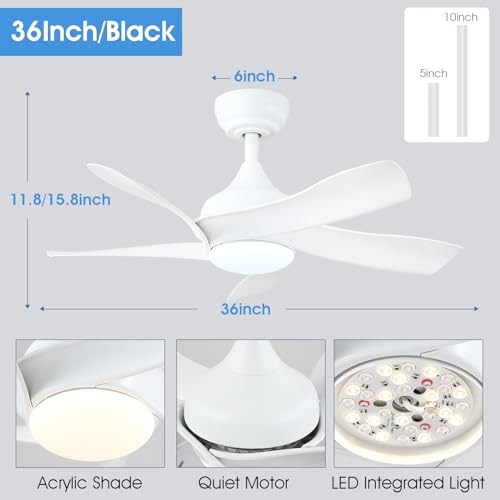 36 Inch Ceiling Fan with Lights Remote Control, Flush Mount, White P204