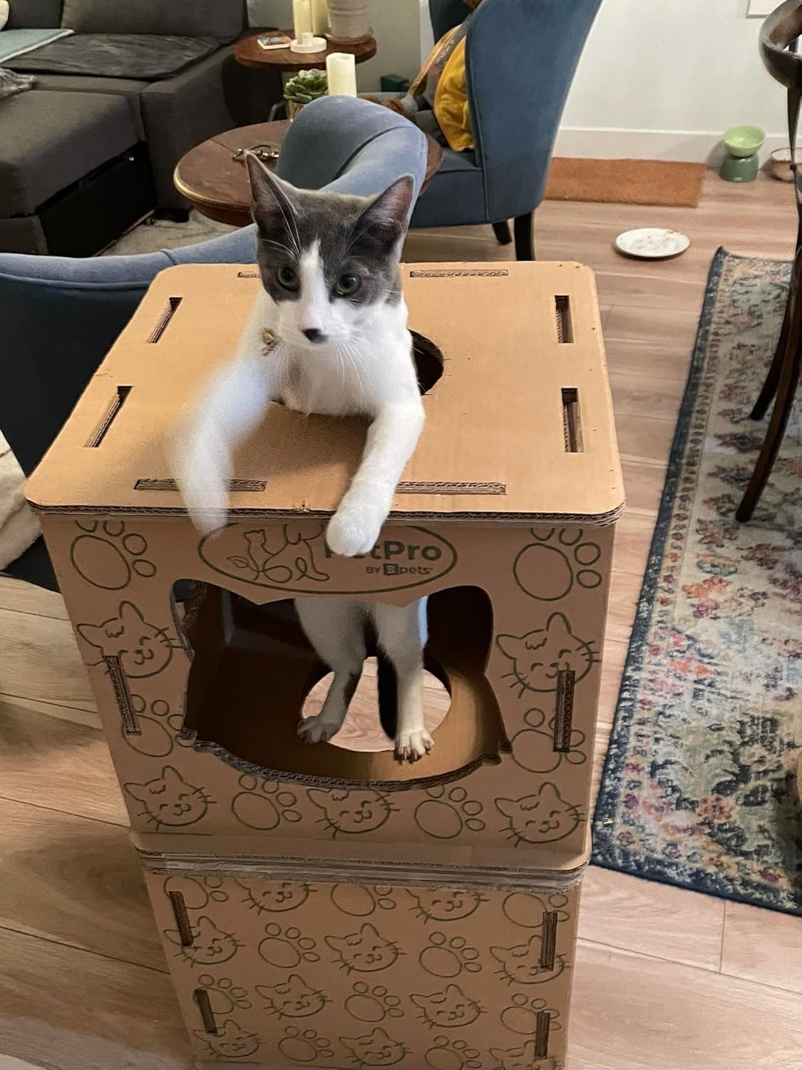 Cat House - Corrugated Cardboard Cat Scratcher for Indoor Cats J7557