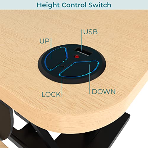 VERSADESK Electric Standing Desk Converter 36 Inch with Keyboard Tray, Maple G289356
