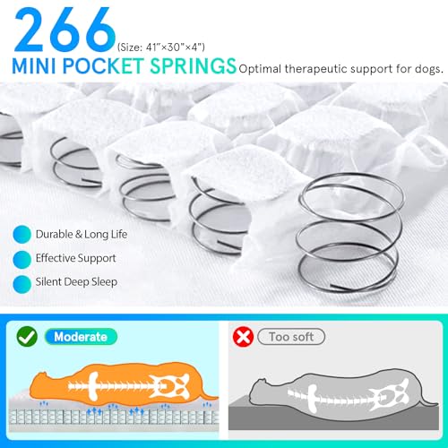 Orthopedic Dog Bed for Small Dogs and Cats, 3 Inch Thick Washable, Grey J6265