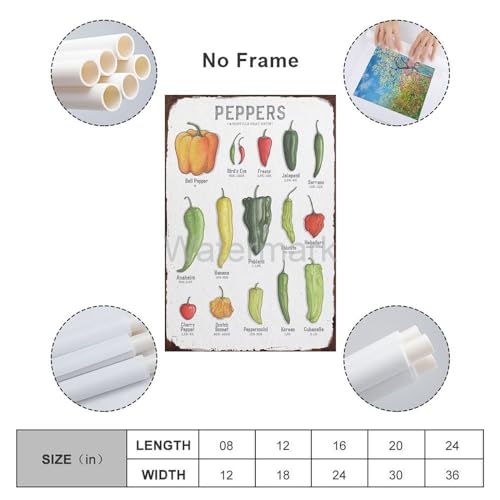 VADDCT Scoville Units Heat Pepper Chart Laminated Kitchen Poster Wall Art 16x24inch Unframe-style L9609
