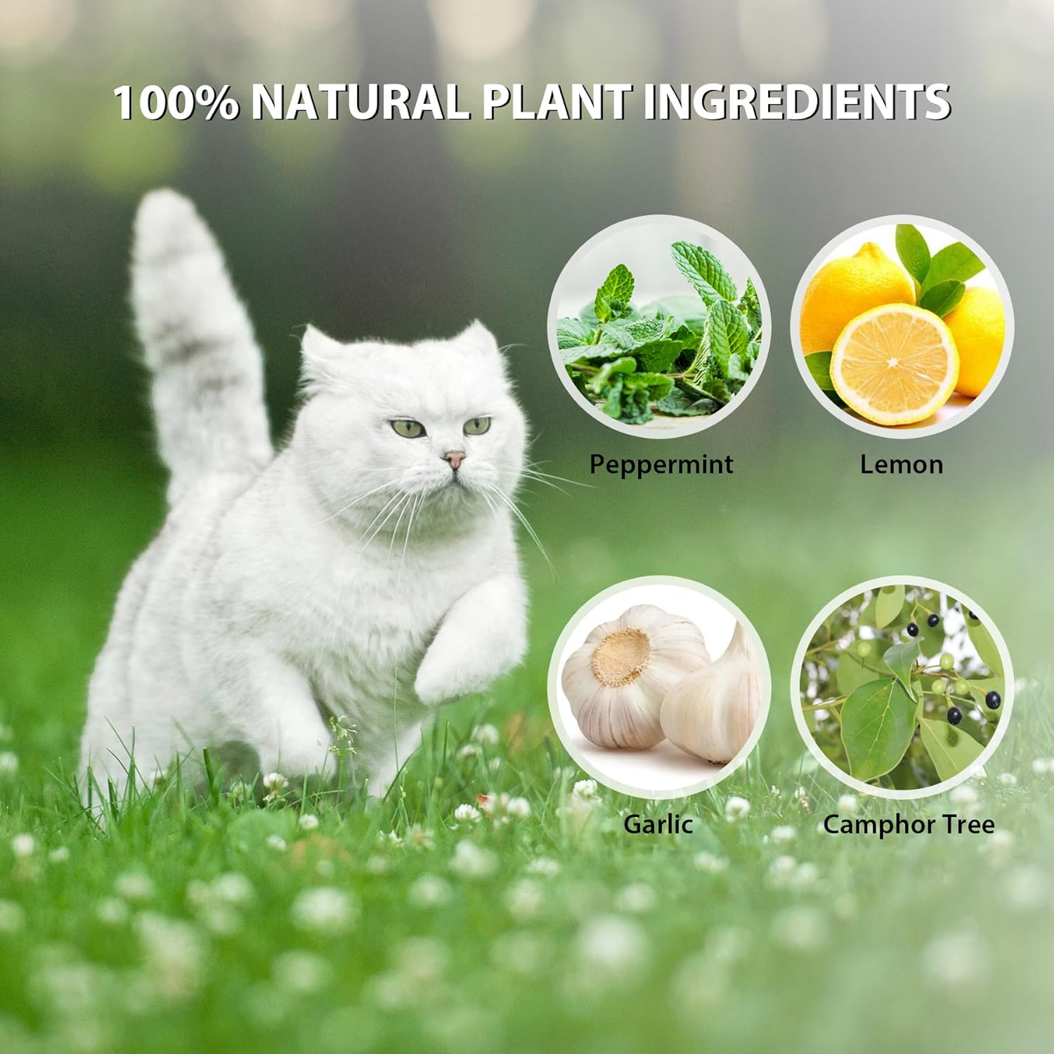Cat Repellent Outdoor Peppermint Oil Deterrent for Home, 20 Pack R69755