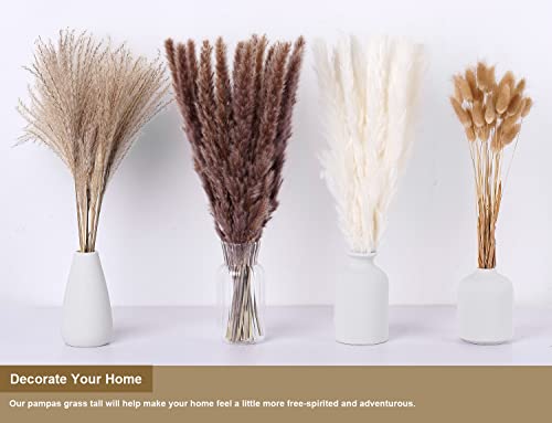 Natural Dried Pampas Grass Bouquet for Boho Home Decor J5317
