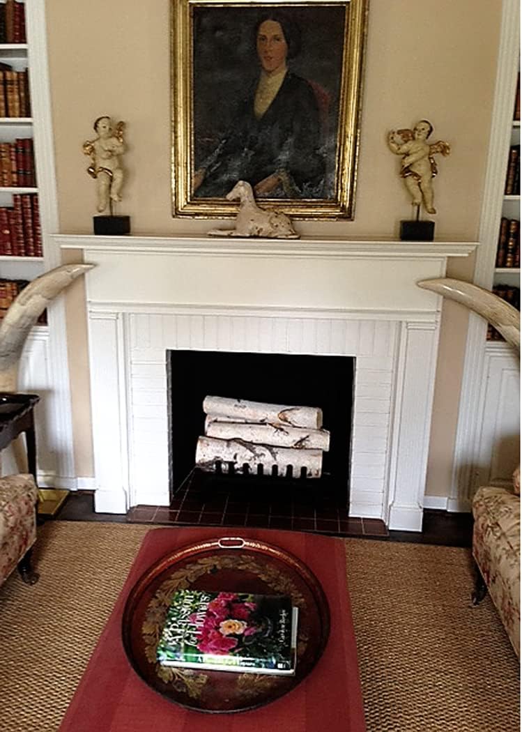 Wilson Birch Fireplace Large Log Set (5 Logs) Y46430