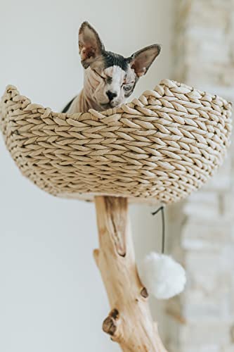 Wooden Cat Tree Tower with Single Branch Cat Condo by MAU LIFESTYLE C6797