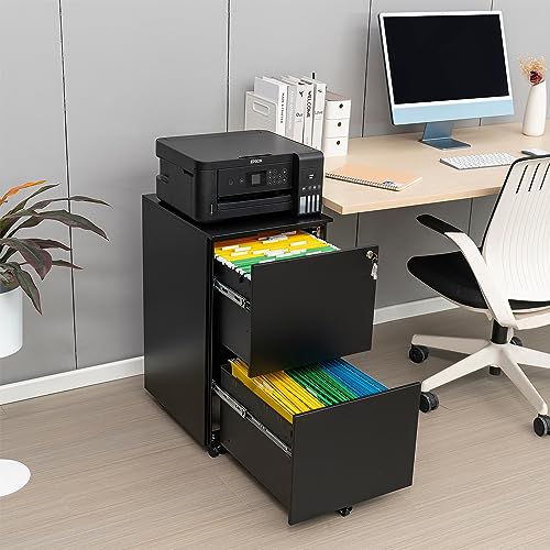 2-Drawer Mobile File Cabinets Rolling Metal Filing Cabinet for Legal & Letter File Anti-tilt Design with Lock Under Desk Office Drawers Fully，Family Rolling Cart File Cabinet (White)
