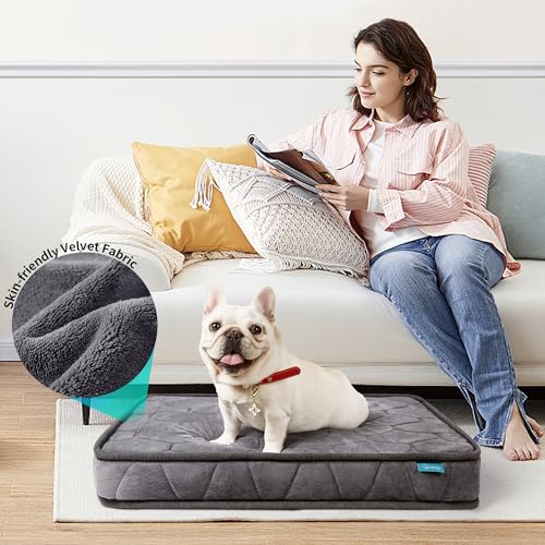 Orthopedic Dog Bed for Small Dogs and Cats, 3 Inch Thick Washable, Grey J6265