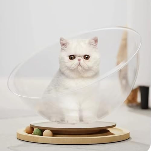Space Capsule Cat Bed Solid Wood Stand Indoor Pet House M5918