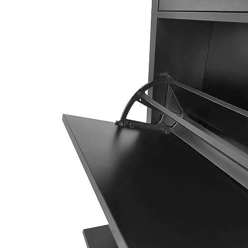 Knocbel Entryway Narrow Shoes Cabinet with 2 Shelves and Top Drawer, Black F96294