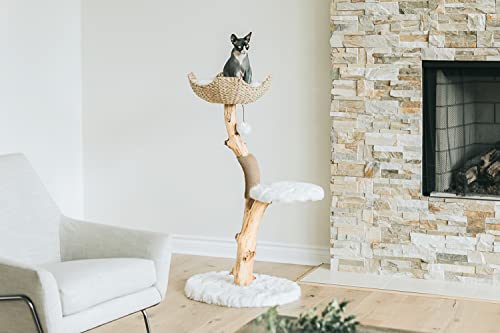 Wooden Cat Tree Tower with Single Branch Cat Condo by MAU LIFESTYLE C6797