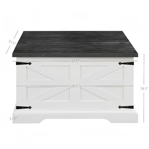 Goujxcy Farmhouse Lift Top Coffee Table with Hidden Storage V33587