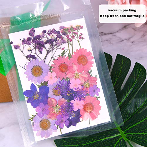 Augshy Black Dried Pressed Flowers, 120 Pcs for Resin Molds DIY Crafts X908