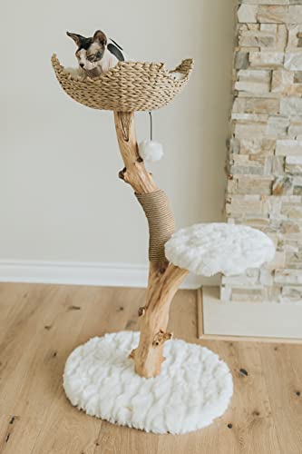 Wooden Cat Tree Tower with Single Branch Cat Condo by MAU LIFESTYLE C6797