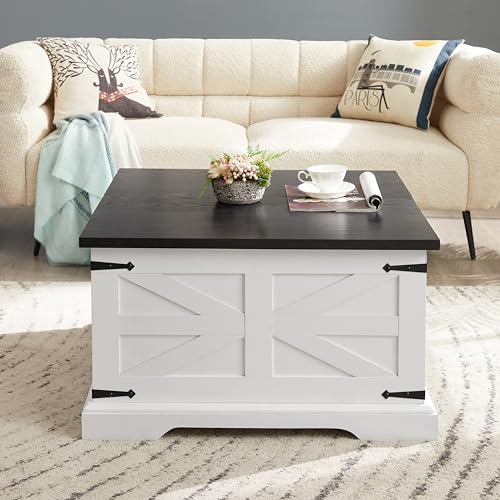 Goujxcy Farmhouse Lift Top Coffee Table with Hidden Storage V33587