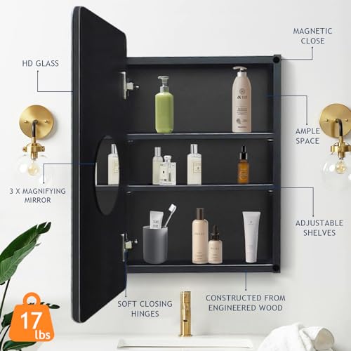 Frameless Beveled Medicine Cabinet Mirror for Bathroom, 16x29 Inch I902204