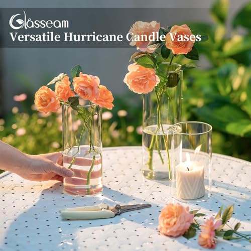 Glasseam Glass Cylinder Vases for Centerpieces, Small Clear Flower Vase Set of 12, 6in Z467