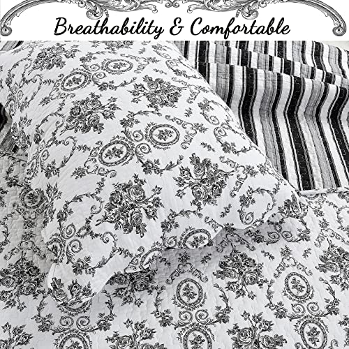 Cozy Line Home Fashions French Medallion 100% Cotton Quilt Set Queen Q4733