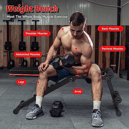 Adjustable Folding Weight Bench for Incline Decline Workout W308477