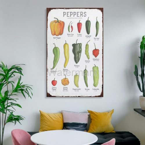 VADDCT Scoville Units Heat Pepper Chart Laminated Kitchen Poster Wall Art 16x24inch Unframe-style L9609