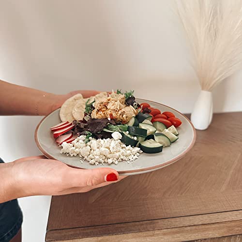 Mora Ceramic Artisan Matte Dinner Plates Set of 6, 10 inch, Dishwasher Safe Y28644