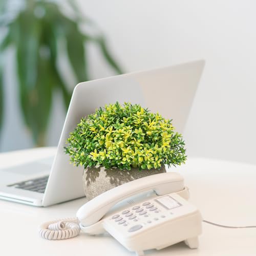 Mini Fake Grass Ball in Paper Pot Artificial Succulent Plant L97248