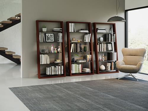 BDI Furniture Eileen Leaning Shelf with 5 Tempered Glass Shelves, Charcoal Stained Ash E1788