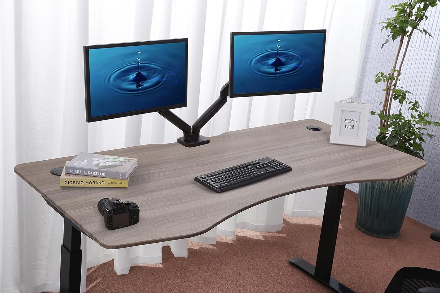 ApexDesk Elite Pro Series Electric Height Adjustable Desk, Curved Teak Top, Black Frame K383276