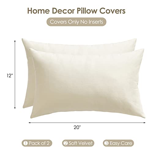 Homelike Moment Throw Pillow Covers Pack of 2, 22x22 White Velvet with Invisible Zipper J564576